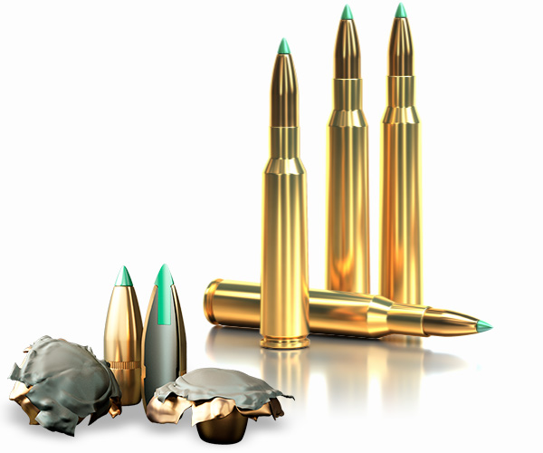 Sellier & Bellot 7x64 PTS 10,5g/162grs