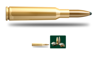 Sellier & Bellot 6,5x55 SE SP 10,1g/156grs