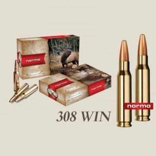 Norma .308 Win. ORYX 10,7g/165grs