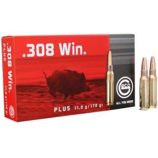 Geco 308 win. PLUS 11.0g/170grs.
